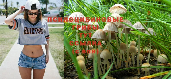 кокаин колумбия Баксан