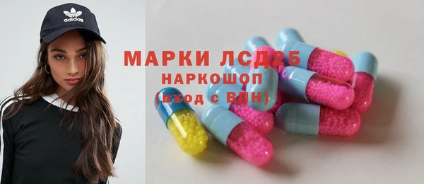шишки Медногорск